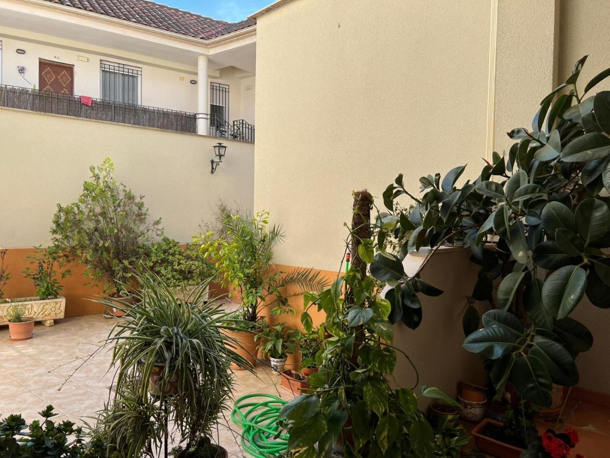 Apartamento Duplex El Tinte コルドバ エクステリア 写真